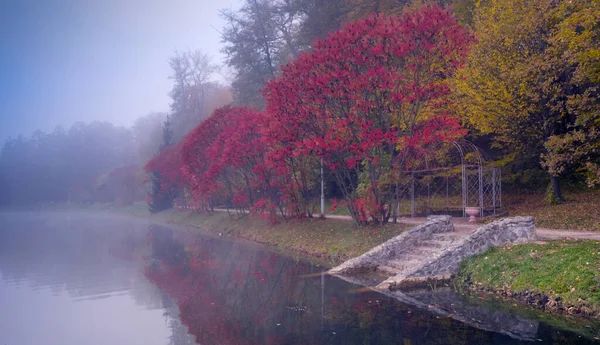 Bosque Otoño Refleja Agua Del Lago Parque — Foto de Stock