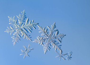 Kar tanesi, cam üzerinde doğal kristal. Güzel geometrik doğal desen. Kış, soğuk ya da yeni yıl konseri.