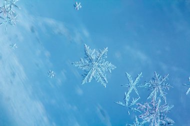 Kar tanesi, cam üzerinde doğal kristal. Güzel geometrik doğal desen. Kış, soğuk ya da yeni yıl konseri.