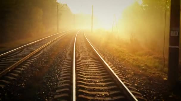 Ferrocarril en el bosque de otoño, nebuloso amanecer soleado. — Vídeos de Stock