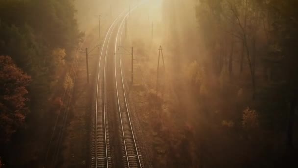 Ferrocarril en el bosque de otoño, nebuloso amanecer soleado. — Vídeo de stock