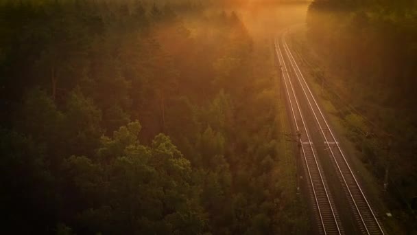 Залізниця в осінньому лісі, туманне сонячне світанку . — стокове відео