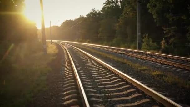 Железная дорога в осеннем лесу, туманный солнечный рассвет. — стоковое видео