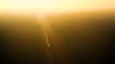 Tren şafak vakti ormandan geçer..