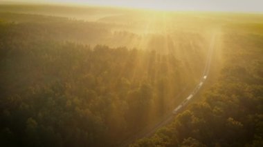 Tren şafak vakti ormandan geçer..