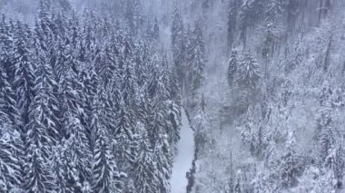 Kış dağ ormanında, yol kenarında küçük bir dağ deresi..