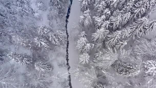 Un pequeño arroyo de montaña cerca de la carretera en el bosque de montaña de invierno. — Vídeos de Stock