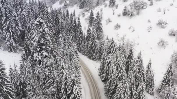 Vue depuis une hauteur sur la route dans la forêt de montagne hivernale. — Video