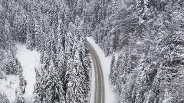 Vue depuis une hauteur sur la route dans la forêt de montagne hivernale. — Video