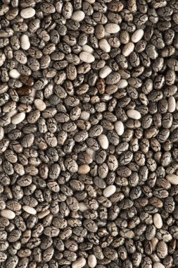 Chia tohumu, doku, değerli besin, omega 3 asit ve vitamin kaynağı.