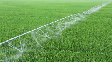 Drone görünümünde otomatik sulama sistemi