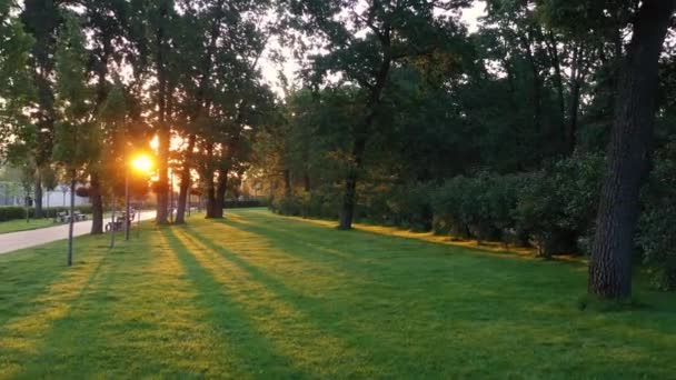 Grădina franceză din centrul orașului Buchan parc de artă topiară . — Videoclip de stoc