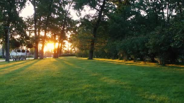 Jardin français dans le centre-ville de Buchan parc d'art topique. — Video