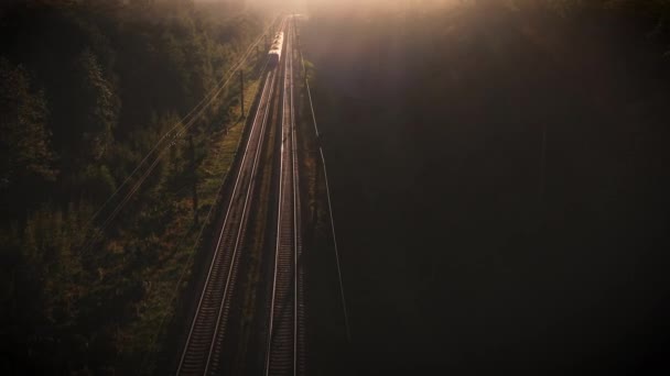 Um comboio de mercadorias atravessa a floresta de Outono — Vídeo de Stock