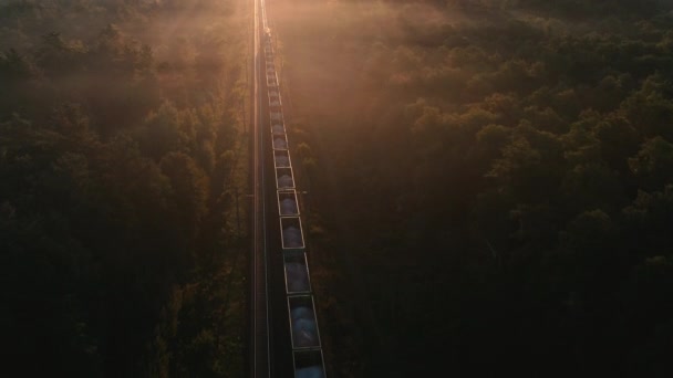 Un train de marchandises traverse la forêt d'automne — Video