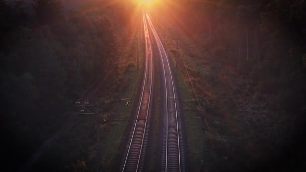 Ferroviária no outono floresta turva ao amanhecer — Vídeo de Stock