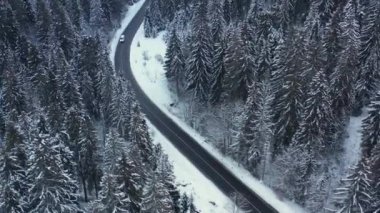 Kış dağ ormanındaki yüksek bir tepeden bak..