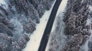 Kış dağ ormanındaki yüksek bir tepeden bak..