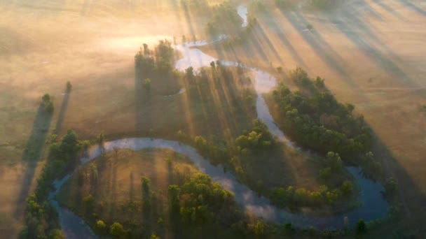 Mystical morning river, the suns rays shine through the fog. — Stock Video