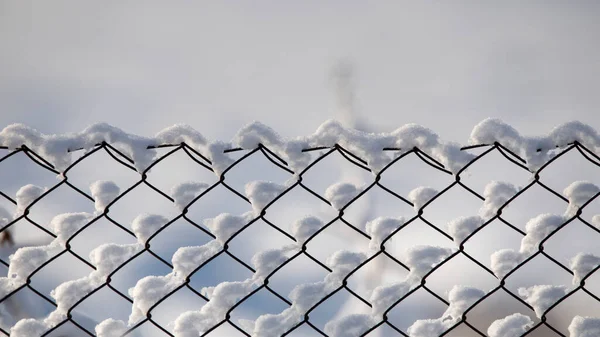 Metal mesh sprinkled with fresh snow, winter background or texture. Selective focus.