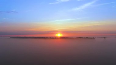 Şafakta bulanık çayır. Yeşil çimenler ve güneş ışınları.