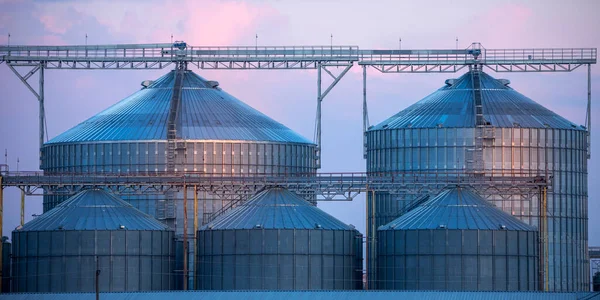 Large Grain Storage Drying Complex Background Evening Sky Agricultural Concept — Stock Photo, Image