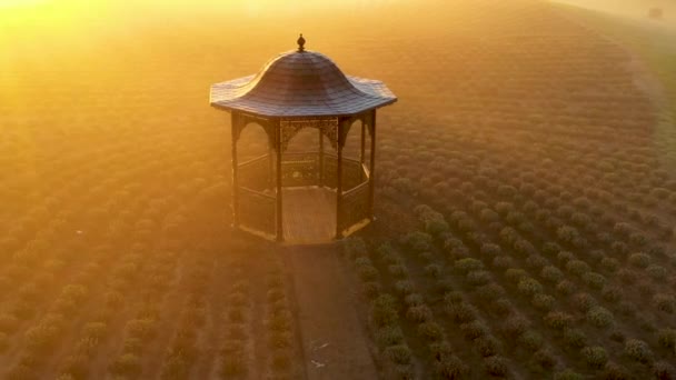 Mystical atmosphere Gazebo in the park in the fog at dawn — Stock Video
