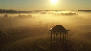 Lale tarlalarında şafak vakti Parktaki siste.