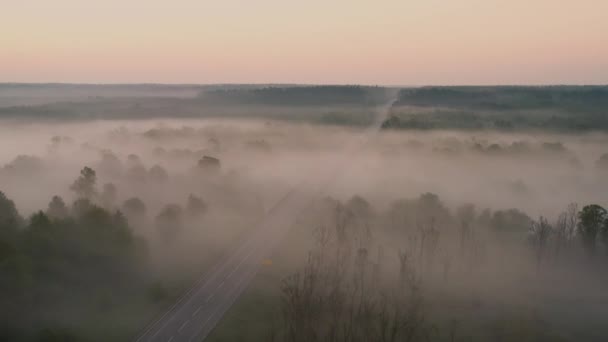 Een mistige weide, en een wegbrug bij dageraad. Schilderachtig zomerochtendlandschap. Luchtzicht. — Stockvideo