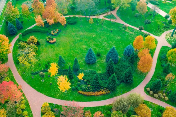 Vue Aérienne Pelouse Avec Des Arbres Verts Jaunes Beau Paysage — Photo