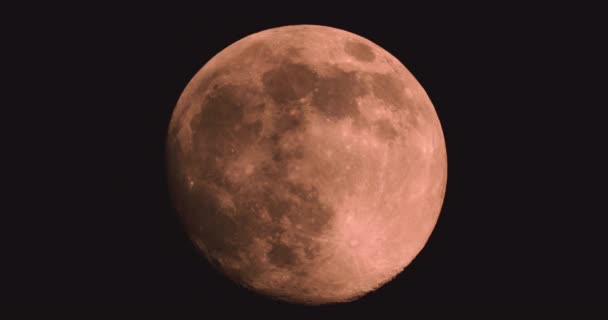 Pleine lune gros plan sur fond de ciel nocturne. — Video