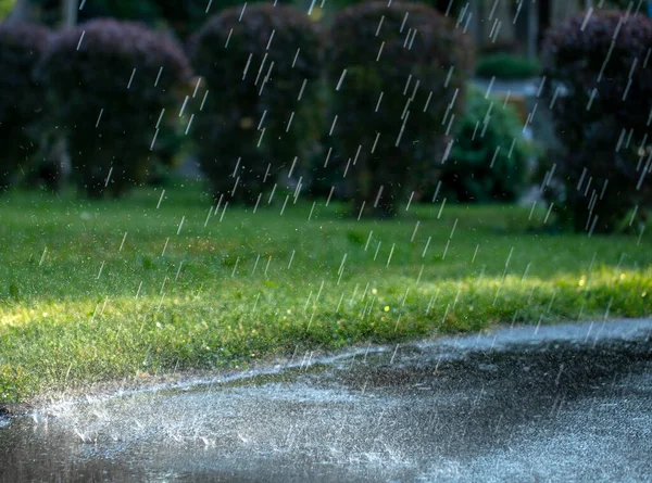 Des Gouttes Pluie Tombent Sur Sentier Pavé Allée Parc — Photo