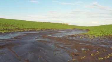 Yağmurdan zarar görmüş tarımsal alanlarda insansız hava aracının görüntüsü