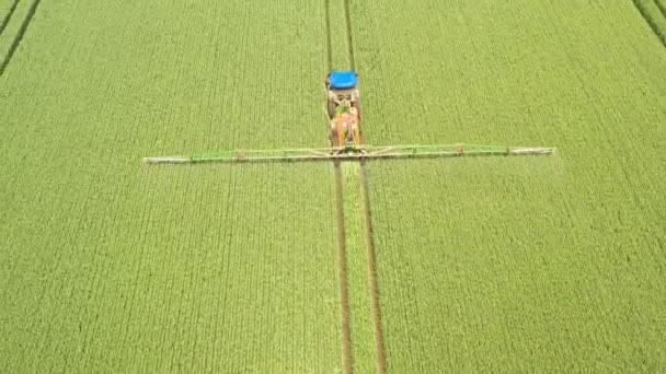 Traktorn använder bekämpningsmedel på en grön drönare. Flygbild. — Stockvideo