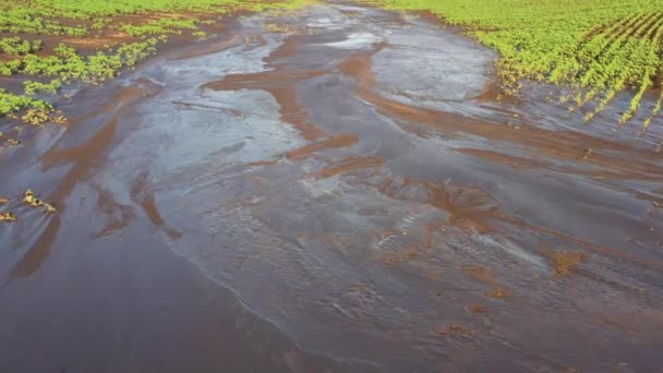 Uitzicht vanaf de drone op de door regen beschadigde landbouwvelden — Stockvideo