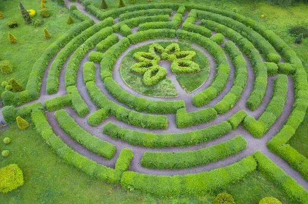 Jardin Topiaire Forme Labyrinthe Dans Jardin Botanique Grishka Kiev — Photo