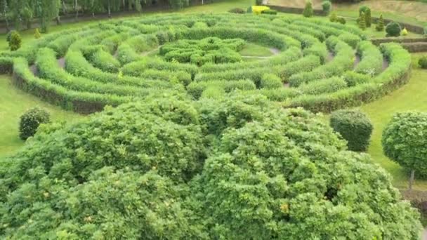 Topiary vedere la grădină de la drone — Videoclip de stoc