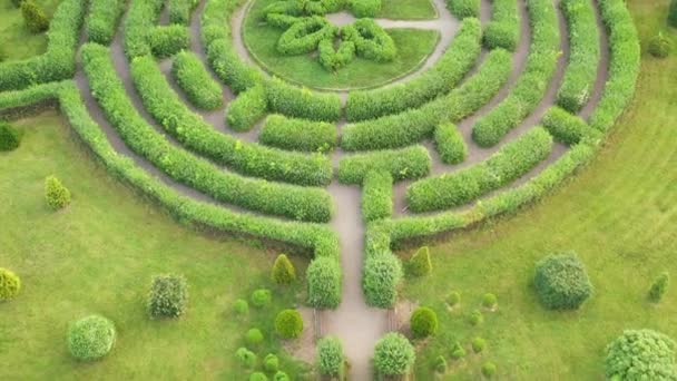 Topiary garden view from drone — Stock Video