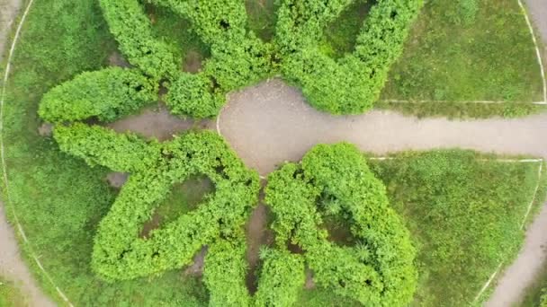 Topiary vedere la grădină de la drone — Videoclip de stoc
