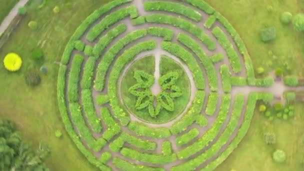 Topiary uitzicht op de tuin van drone — Stockvideo