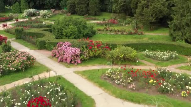 Rosengarten im Botanischen Garten nach Grischko benannt. — Stockvideo