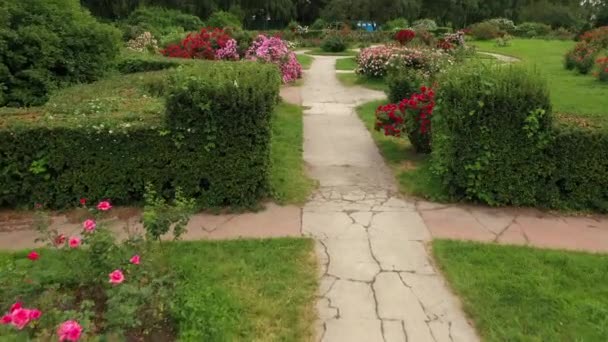 Rozentuin in de botanische tuin vernoemd naar Grishko. — Stockvideo