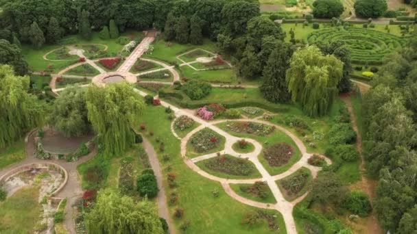 Розовый сад в ботаническом саду имени Гришко. — стоковое видео