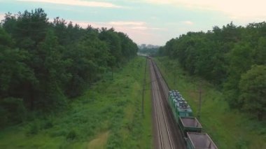 Bir yük treni ormanda yüksek hızda hareket ediyor. Hava görünümü.