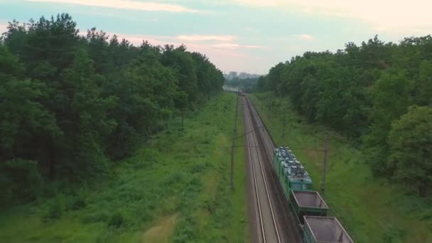 Bir yük treni ormanda yüksek hızda hareket ediyor. Hava görünümü. — Stok video