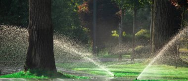 Otomatik sulama sisteminin döner başlığı sulu yeşil çimenleri suluyor..