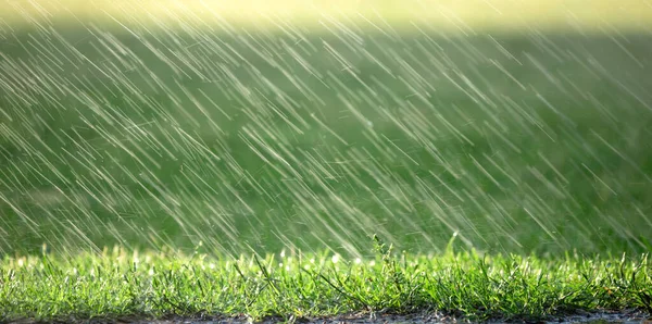 Gotas Lluvia Cayendo Sobre Hierba Verde Fondo Natural Pronóstico Del — Foto de Stock