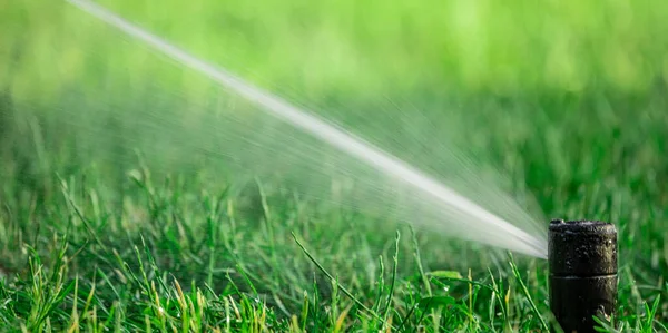 Rotary Nozzle Automatic Watering System Waters Juicy Young Green Lawn — Stock Photo, Image