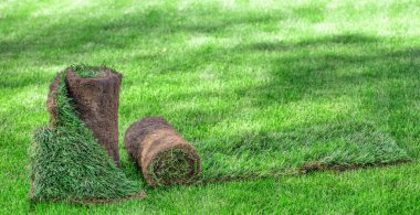 Güneşli bir günde çimlerin üzerinde iki rulo çimen uzanır. Bir manzara oluşturuluyor