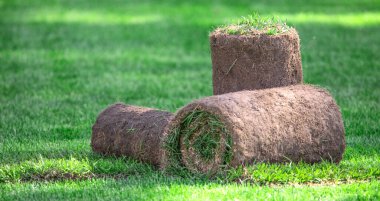 Güneşli bir günde arka bahçede üç tomar çimen..